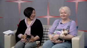 «Я и мой питомец – семейный образ»: как подготовиться к конкурсу и где пройдёт дефиле