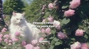 Хеда Хамзатова-хьоьл хаза, хьоьл оьзда ПРАВИЛЬНЫЙ тек?