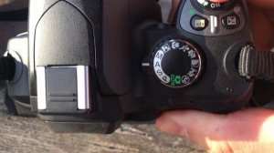 Nikon D40 в 2024 году, первые впечатления и примеры фото на к?