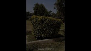 Honor 400 Pro против Galaxy S25 Ultra против Vivo X200 Ultra - сравнение камер в реальной жизни