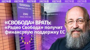 ЕС выделит €5,5 млн. на вещание «Радио Свобода». Вассерман — о «Свободе» врать / Открытым текстом