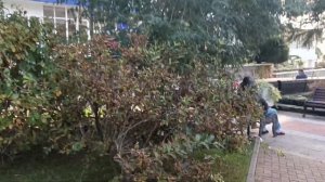 Санаторий Бирюза. День открытых дверей в медицинском ?