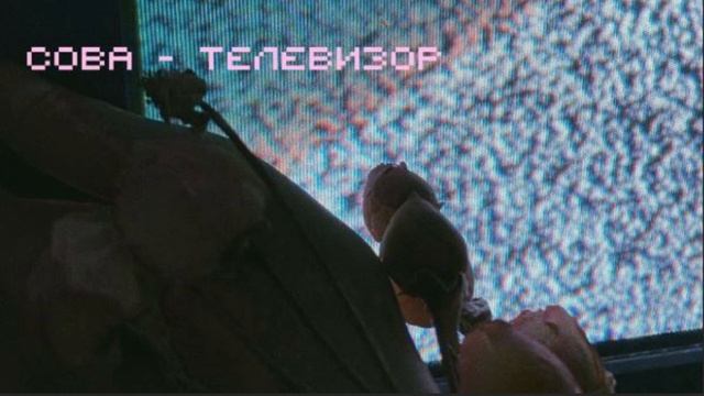 сова - телевизор (slowed & reverb) смотреть онлайн