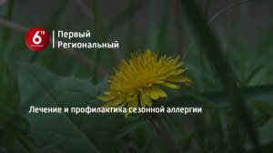 Лечение и профилактика сезонной аллергии