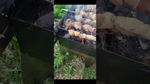 Электровертел саможар на 6 шампуров