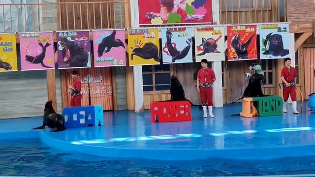 Экскурсия из Санья от TezTour на Цветочный остров.Февраль