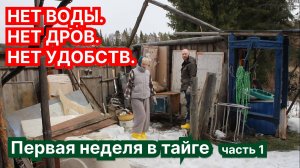 Дневник Тайги S3 Первая неделя выживания: дрова, кролики и жизнь без удобств