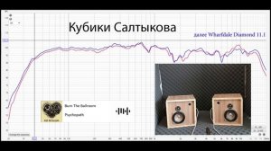 Кубики Салтыкова, измерения и тесты Вега 25 АС-302 и Wharfedal