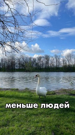 Почему мы живём за городом?