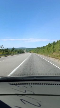 Где-то в тайге