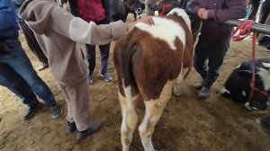 2 мая 2025 г.МОЛБОЗОРИ ХИСТЕВАР СРОЧНА БЕНТОН ХУЧАНД ХУ?