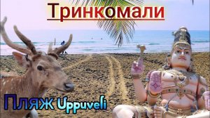 Восток Шри-Ланки | Тринкомали | Пляж Uppuveli