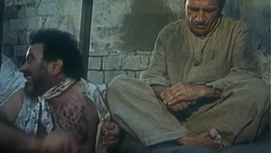 Это не твой зуб, и даже не мой. Он ихний!