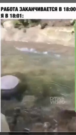 узнаете себя?😄