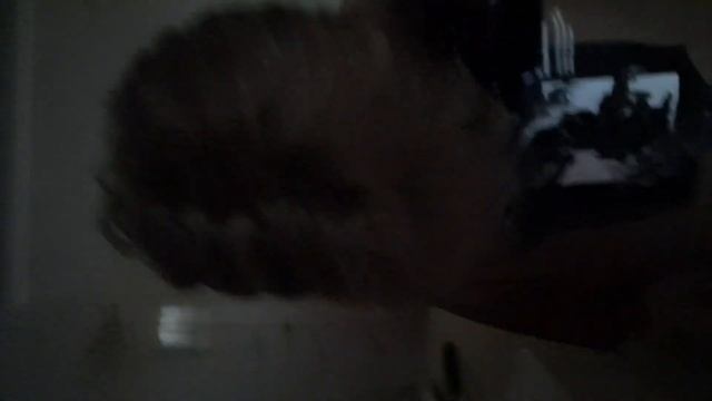 трэк чапа,мэк,алабай 31май 2023год хит 21века смотреть онлайн