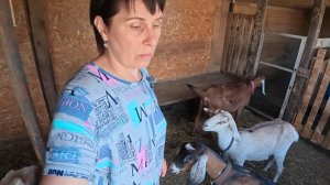Вот и вся история. Все занимаются своими делами. Жизнь простых людей в деревне