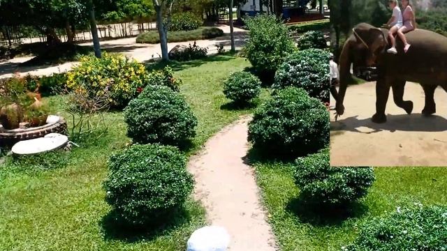 [VLOG] СЕВЕРНЫЕ ОСТРОВА: ТРЕНИРУЮСЬ НА РЫБКАХ (04.04.2019) смотреть онлайн