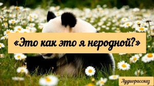 «Это как это я неродной?» Аудиорассказ.