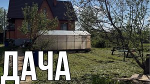 ДАЧА 25 МАЯ 2025.