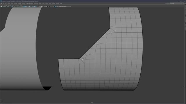 Intermediate Topology Study - Shape Study 07