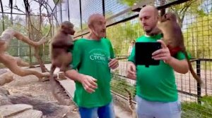 Степашка пискнул и Люська заступаясь за него даже попыталась Дениса укусить)