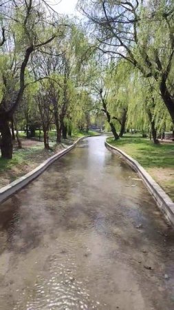 Коротко о погоде в Симферополе