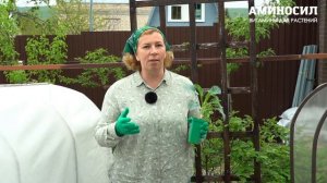 🥦 Когда почва прогреется до 12 °C, наступает подходящее время для посева различных корнеплодов