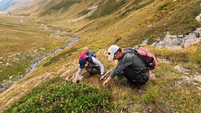 Поход к озеру Халаца в Северной Осетии смотреть онлайн