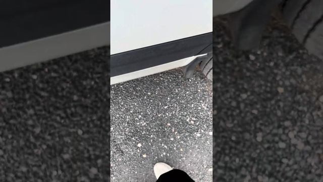 Соллерс Атлант. Поболтаем... смотреть онлайн