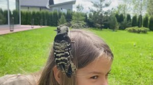 Лиза Тысяча ПРИРУЧИЛА ДЯТЛА