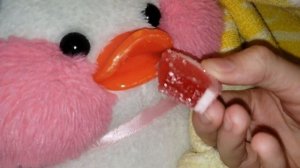 #lalafanfan распаковка посылки для утки  Настя и утя Katy проб