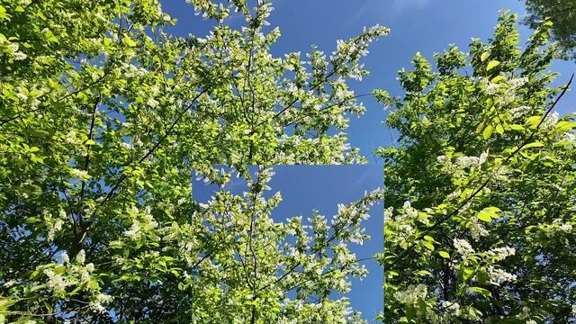 Я бежала, старалась, спешила Это сделать, а это успеть, смотреть онлайн