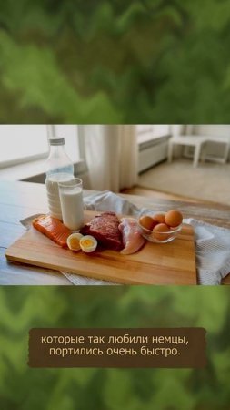 Ходить босиком и общаться с женщинами: что запрещалось делать немцам в Африке? #двевойны   #история