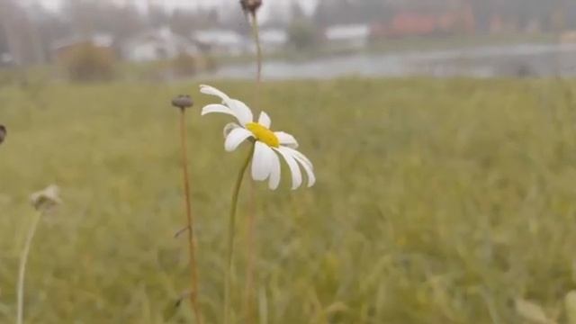 Ноябрьский отдых на Ферме М2 смотреть онлайн