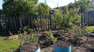 Утренний обход 2.