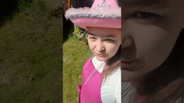 🧹🧺 Покос закончился расстройством