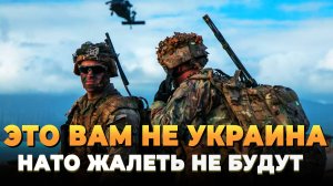 Это вам не Украина - НАТО жалеть не будем