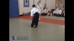 22 Aikido Ai Hanmi Kokyonage Shishiya Sensei Sandviken 2002