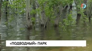 «Подводный» парк