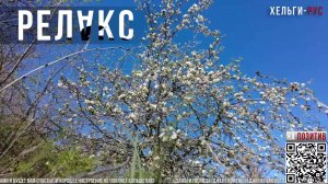 AI on Relax 03 На волнах релакса.Гармония нейронов.Расслабляющая музыка.Глубокий Сон.Медитация.