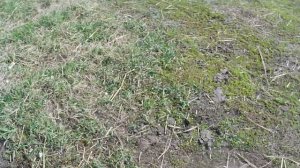 Отзыв на Регулмото ХАДВ