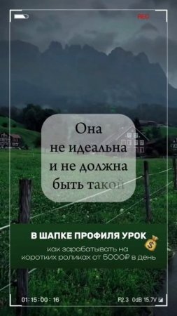 Красота жизни