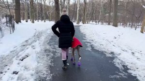 ПЕРВЫЙ СНЕГ В НЬЮ-ЙОРКЕ. АМЕРИКАНСКАЯ ЗИМА. FIRST SNOW IN NEW YO