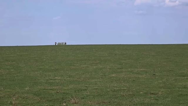 ЖИЗНЬ МОЛОДОЙ СЕМЬИ В УРАЛЬСКОЙ ДЕРЕВНЕ | РАЗВЕДЕНИЕ Б смотреть онлайн