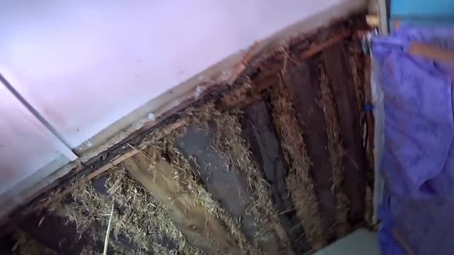 Что мы строили 4 месяца и сколько потратили на это ден? смотреть онлайн