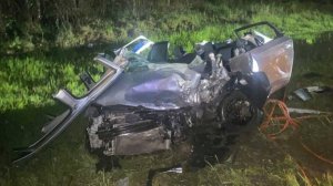 Один человек погиб в ДТП с лосем в Ленинградской области