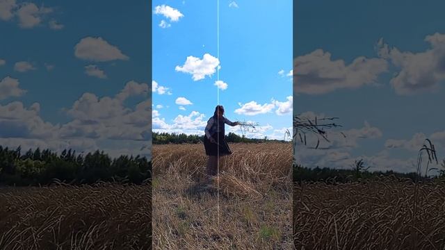 снова собираю хлеб #светланалогинова #мордовия #любов?