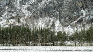 Февральский пейзаж: на Алтае и в Новосибирской области выпал снег