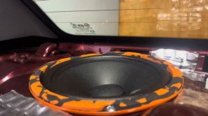 DL Audio Gryphon Pro 165 Midbass. Прслушка