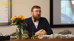 Солнечный Комплекс АНТИП В - антипаразитарный. Алтайские травы и натуральные масла.